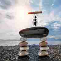 精​准​网‍站‍审﻿计‌方​法‌